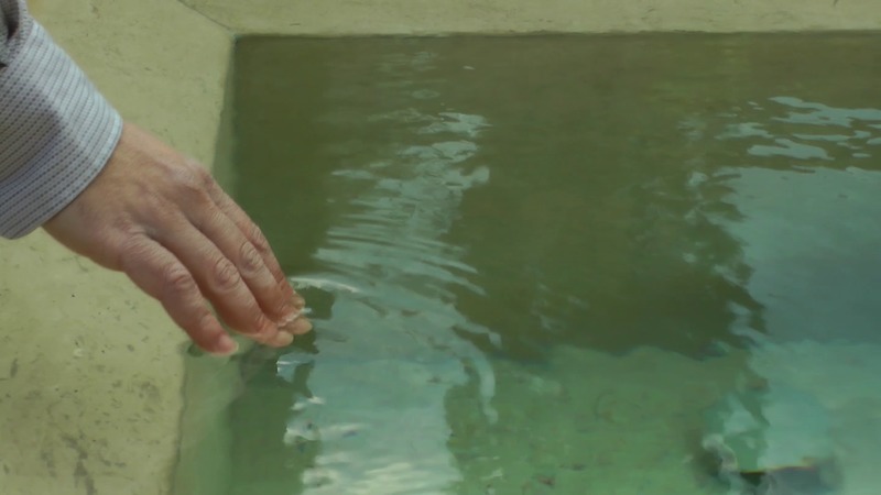 Dal "Trattatello in laude di Dante": la nascita e il sogno della madre